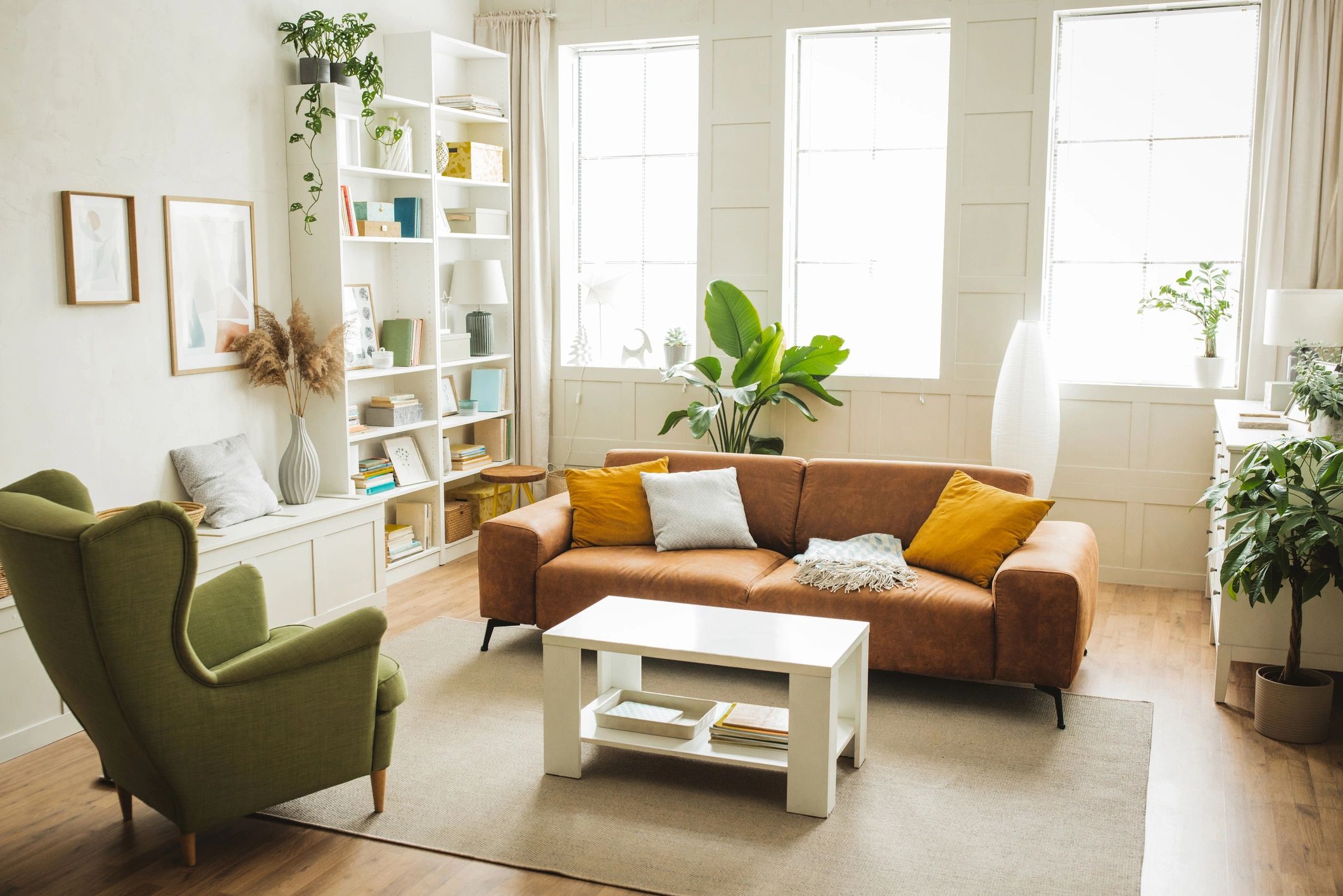 clean carpet home