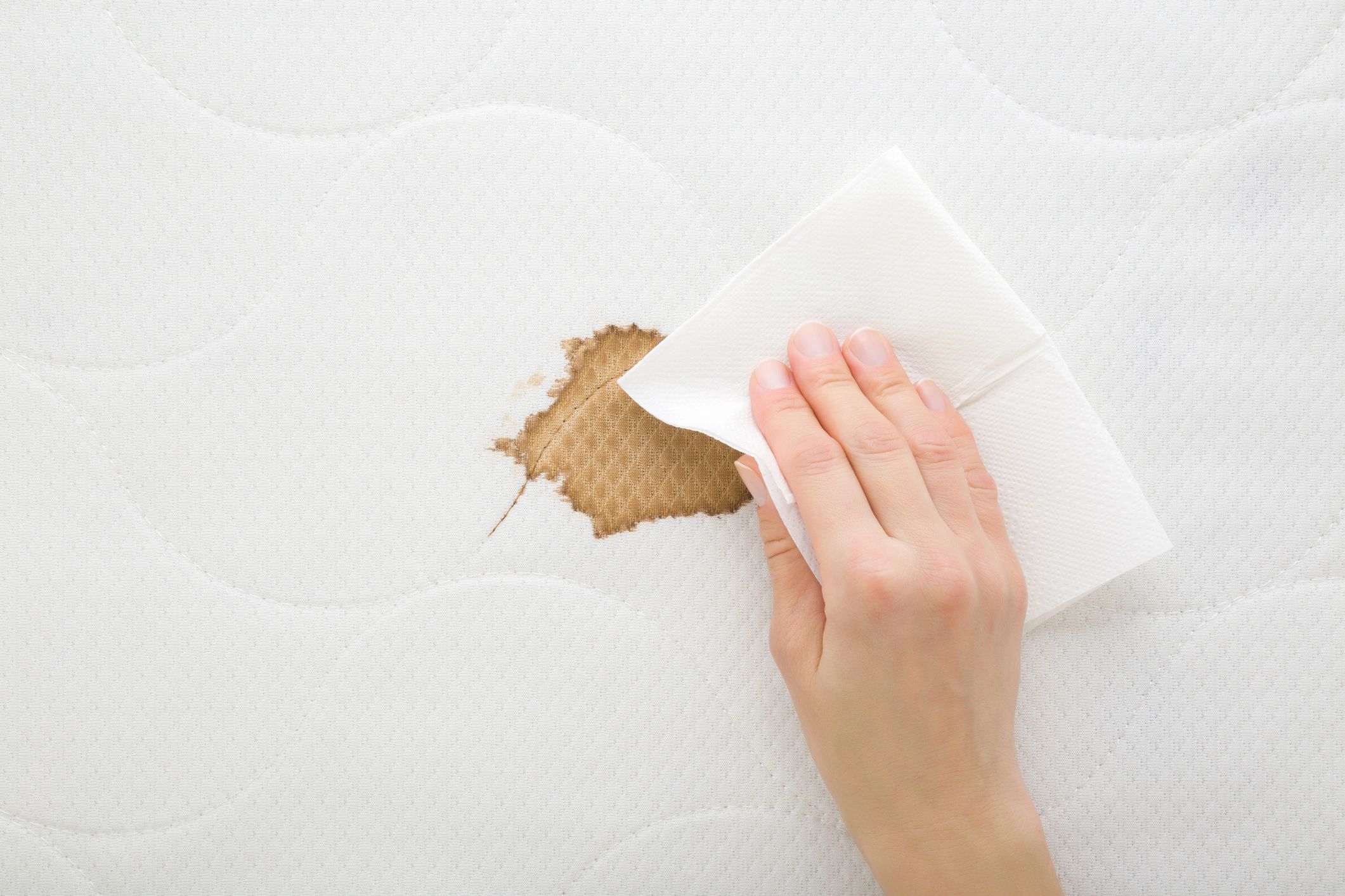couch and mattress cleaning
